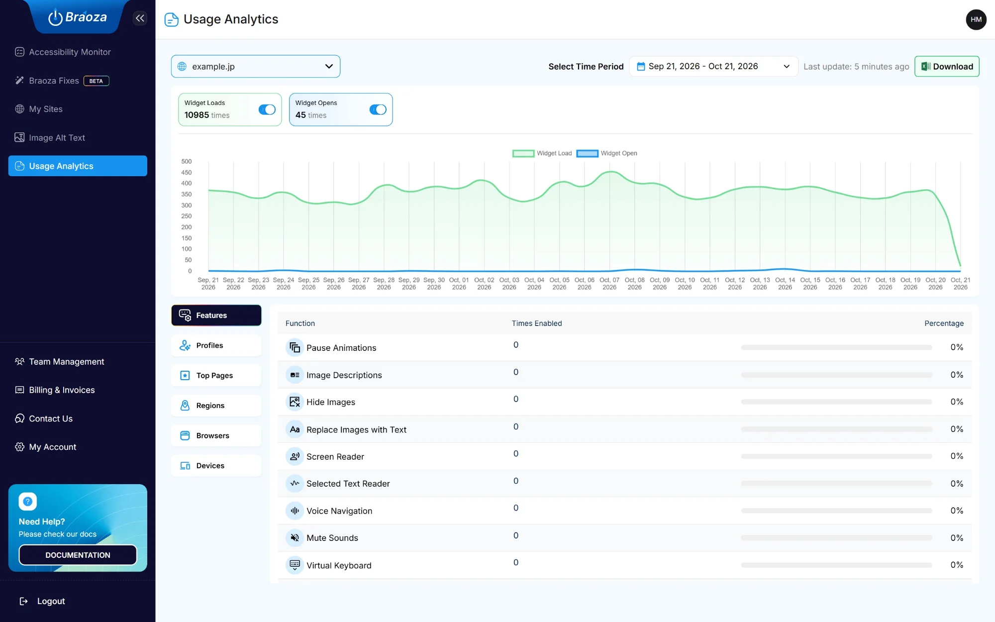 Braoza usage analytics with a 30-day chart of widget loads and opens